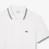 Herre Regular Fit Trim Accent L.12.12 Pologensere