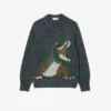 Intarsia-strikket krokodille-genser for menn